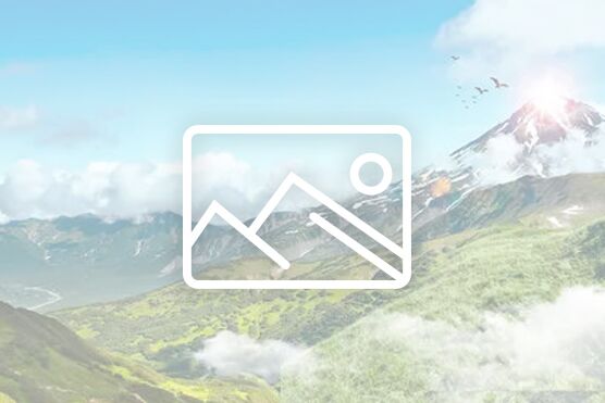 配送品種：生姜