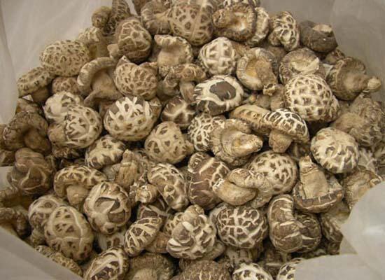 干貨類(lèi)配送：冬菇/香菇