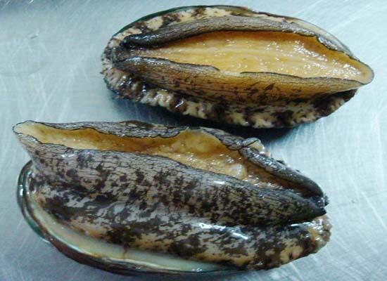 新鮮海產(chǎn)：生猛海鮮