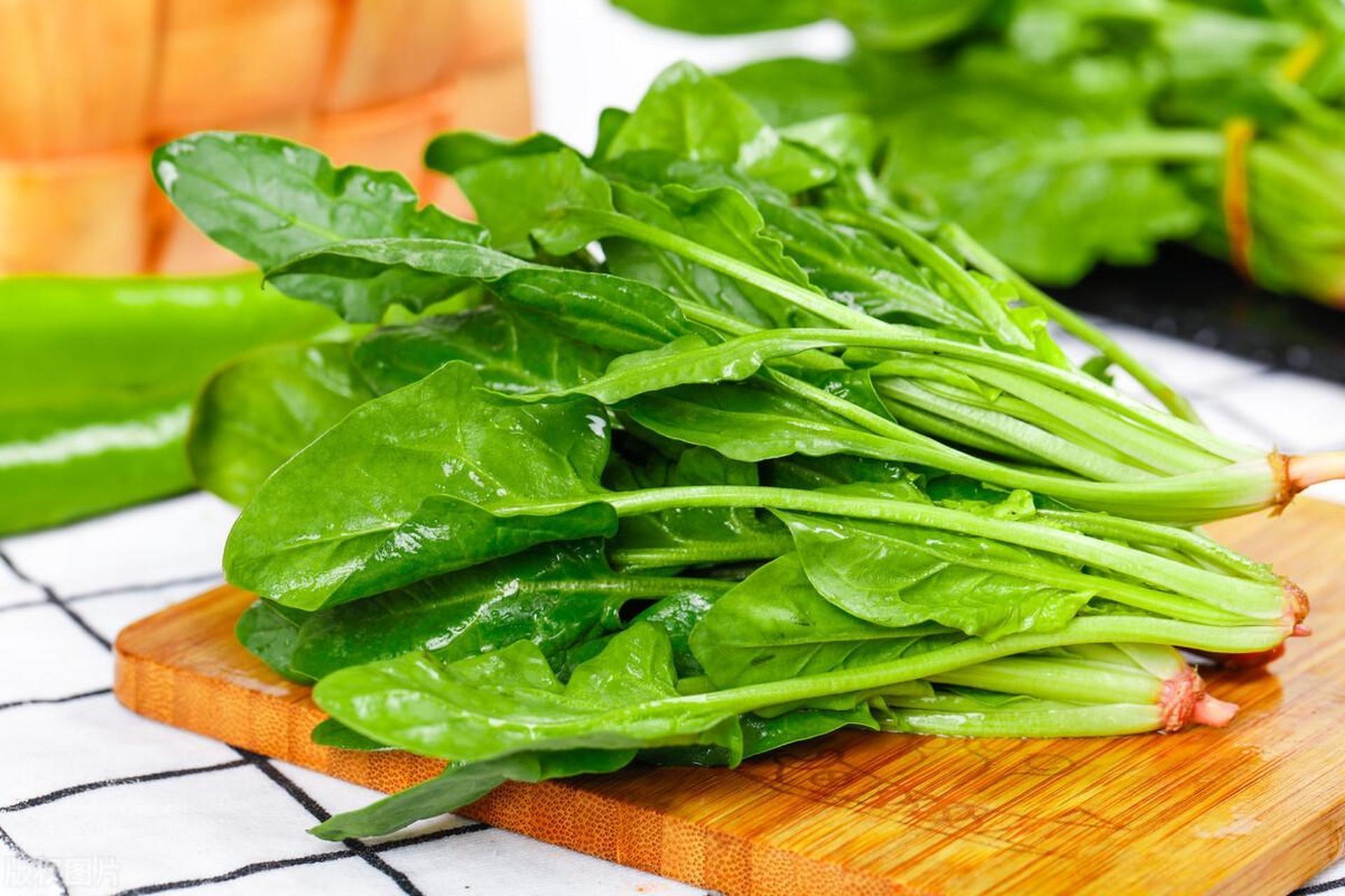 東莞食材生鮮配送中心為您科普菠菜的營養(yǎng)功能價值