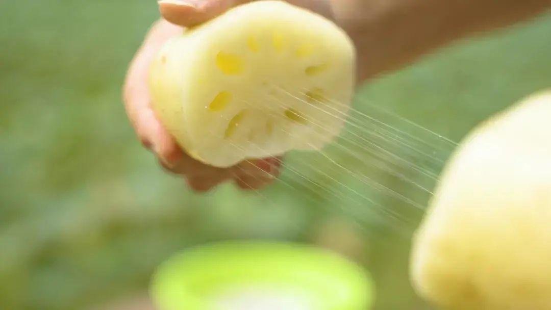 藕斷為什么會(huì)絲連呢，東莞食材生鮮配送中心與您談一談